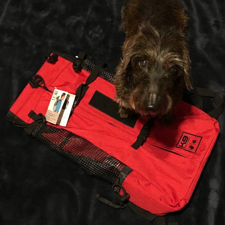 00c475be 649a 438c 9b3b 2a96aae1b830 1556281319823