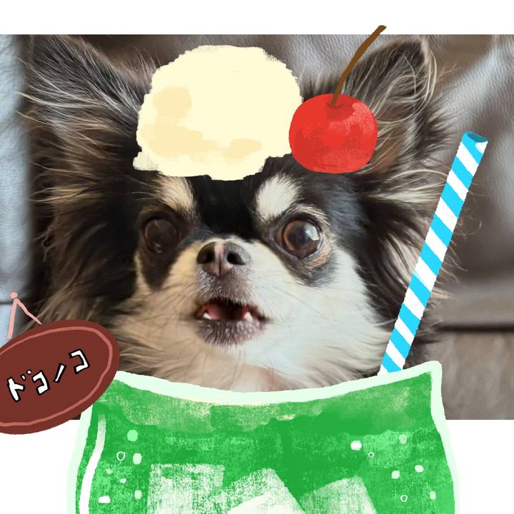 00c4dea5 e399 48fe a564 647acada0143 1755193387746