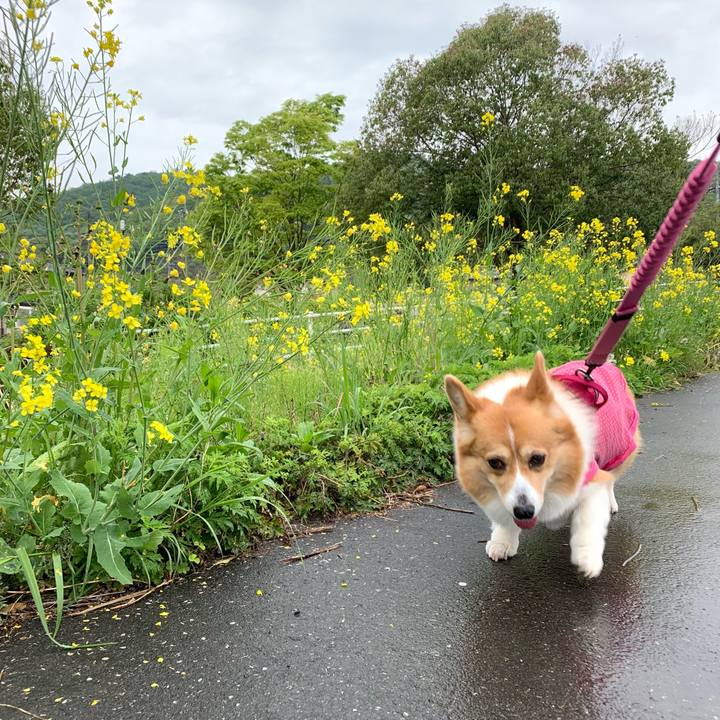 00c4ffab 4459 4c73 b304 fef2588e6b38 1650257660679