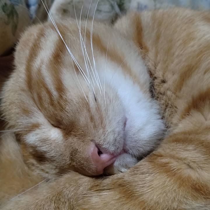 00c52765 d1ca 407b 8827 1f3fe9146f60 1666270458288