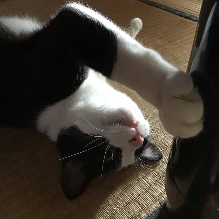 00c53b29 37c3 476a 8722 211c72660e1e 1687610477045