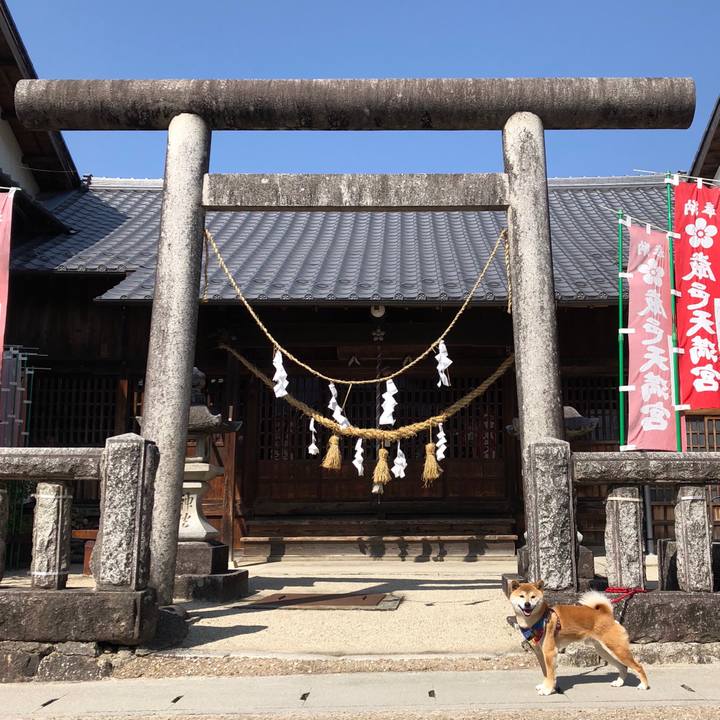 00c56ca1 218b 40e1 b31f 29aa66a7ab0a 1521018580826