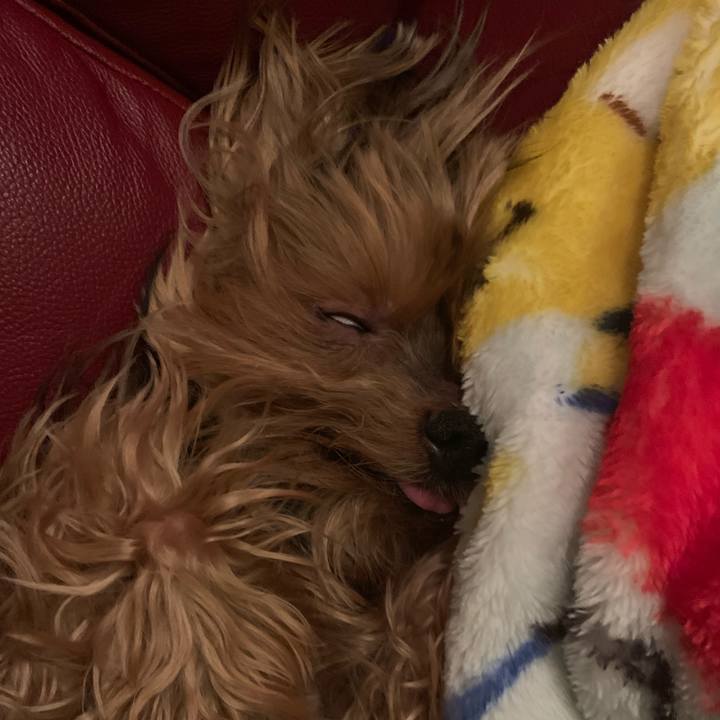 00c58fb3 d660 4b4b 845d 955d64e3988b 1552910680055