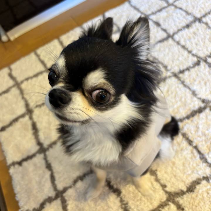 00c596d9 5c83 4d4f a429 bace6bd809d2 1739031616187