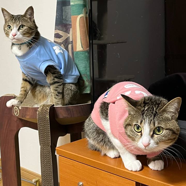 00c5a3da 9a19 4fb4 8351 0a2f1a4fc841 1677278972550