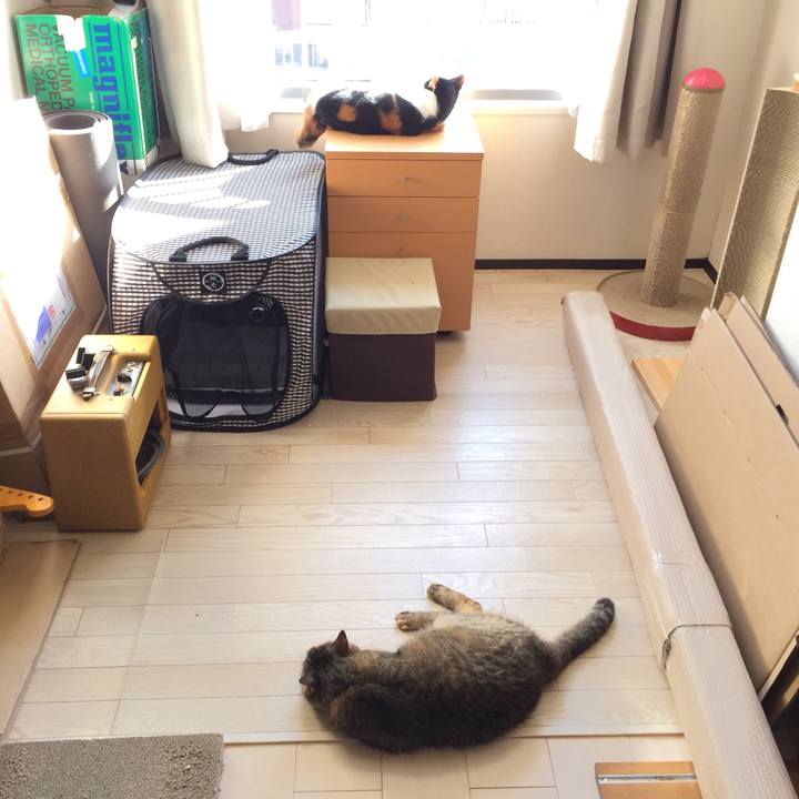 00c5e4d8 0ee7 4856 90f1 7ee2de93ca51 1559446419861