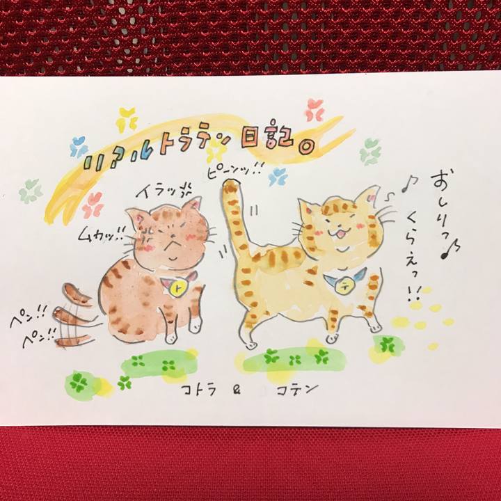 00c5fc84 cd58 4a79 bd0a 203b945f9807 1549545936070