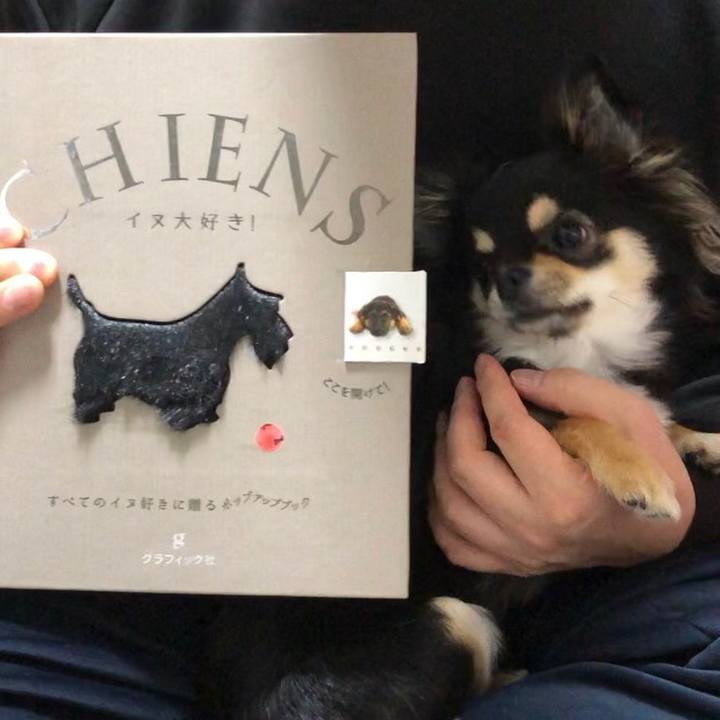 00c620e5 35a1 4cb0 8942 7ce1e540faac 1553516481652