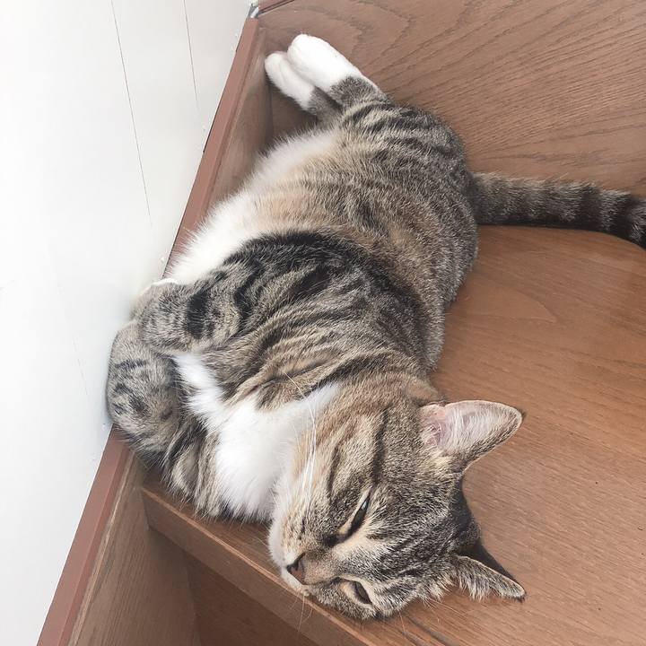 00c625c1 c33b 4e7b a17f 98791af0273d 1565392120592