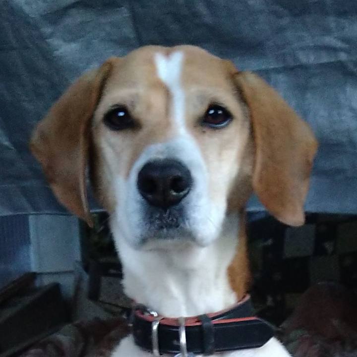 00c62823 a3d7 4a26 a826 5959ed30d505 1650972668616