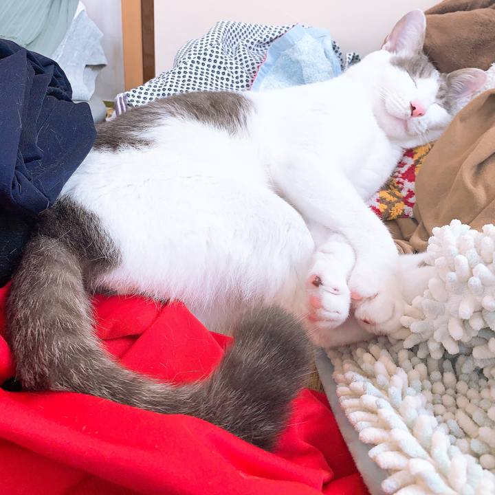 00c6bdf3 48b4 40a2 9b36 9fa946c89031 1573522444317