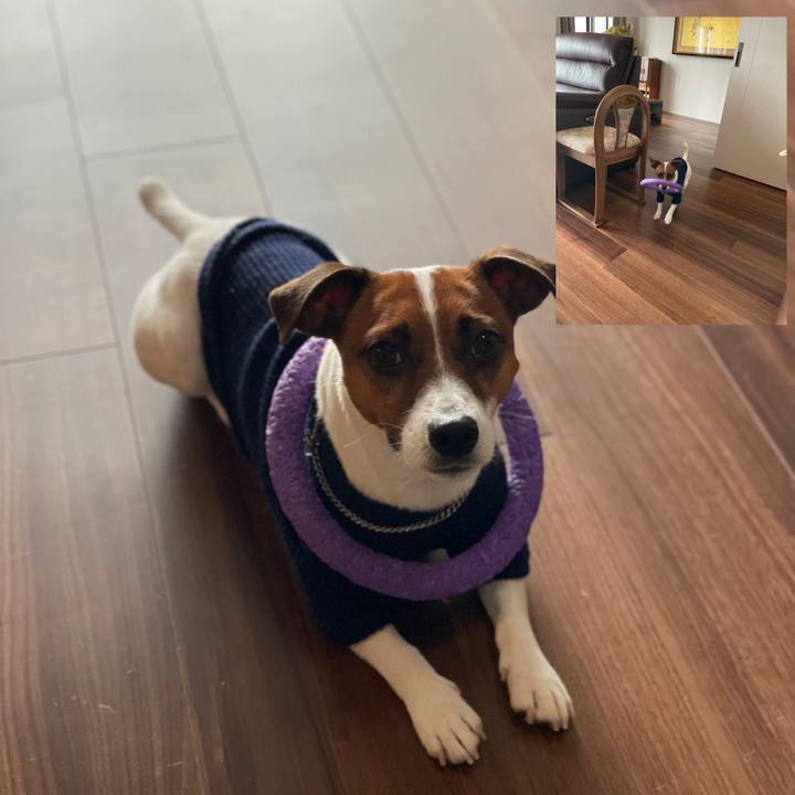 00c70010 0f9c 4190 bac1 657c6ce3d11f 1642032748846