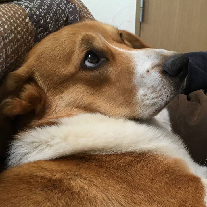 00c72292 f190 4cbe b6d3 39e4e3bad564 1616305260840