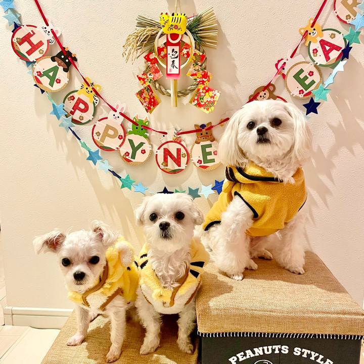 00c73339 b39e 4262 bb54 65e8351e3a14 1641526041158