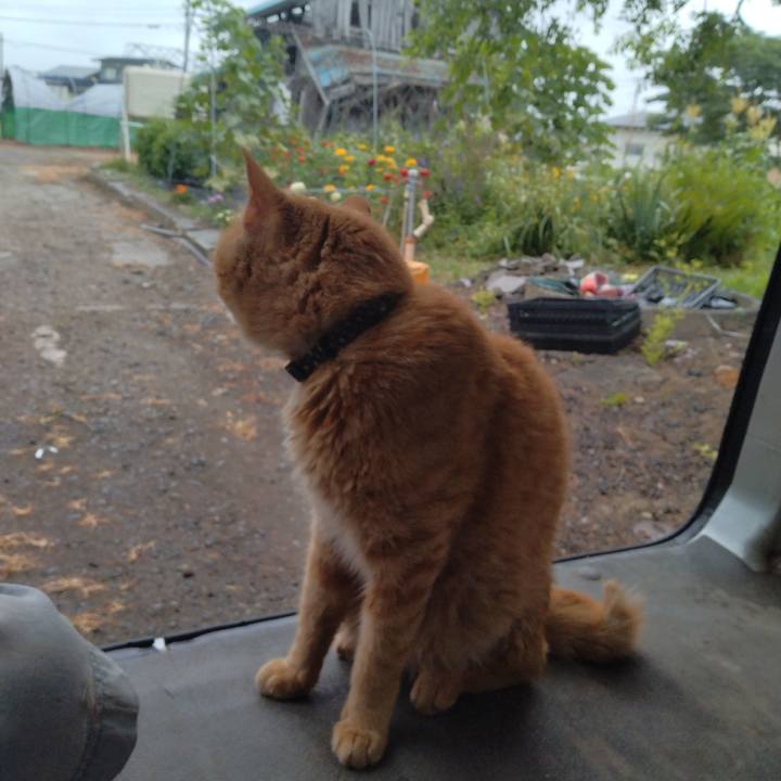 00c74e76 96b3 4bff 92bb bac743b1cf25 1752463798556