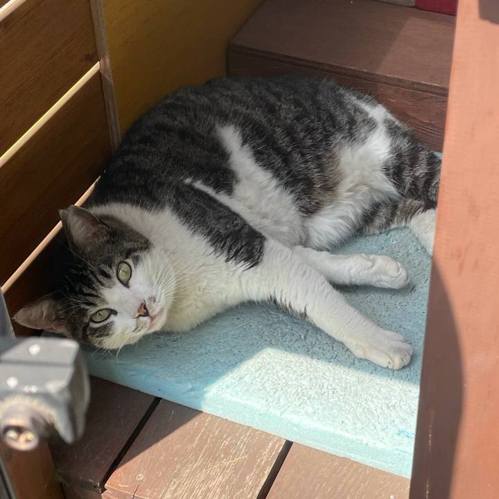 00c77ece fbc9 47a8 8d56 2363bf75ccc7 1617944040658