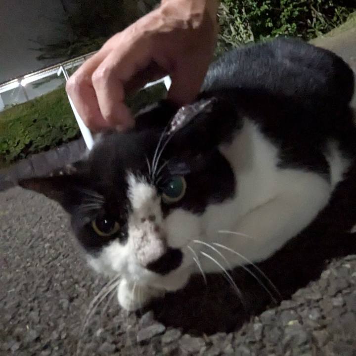 00c79a4e aee8 4c0c 8abc 9c751567ade4 1753335594665