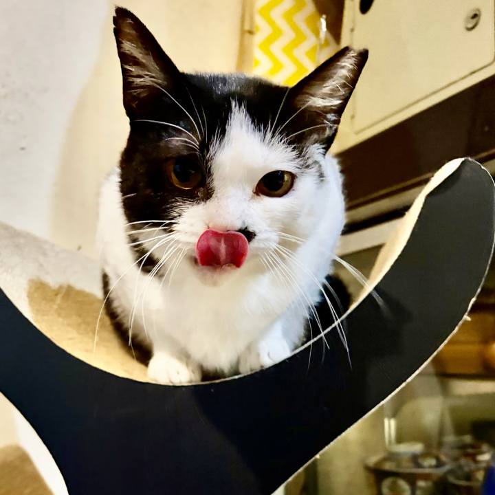 00c79e2f 1fcc 48f9 a591 5a0a30d6a0eb 1769754341582