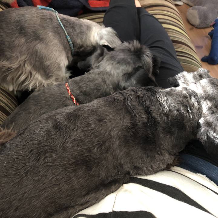 00c79e37 1c48 4841 b06e cc3d438602c7 1543629496387