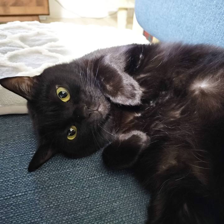 00c7adff dc46 498c b2da 9d836a039b96 1698842308164