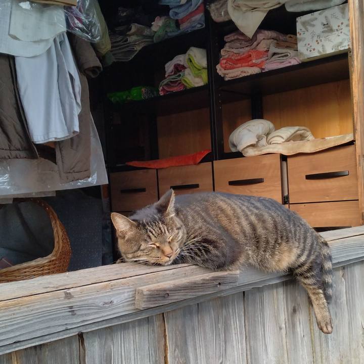 00c7c417 733d 4d0d 9647 b51ca1d39126 1665729337376