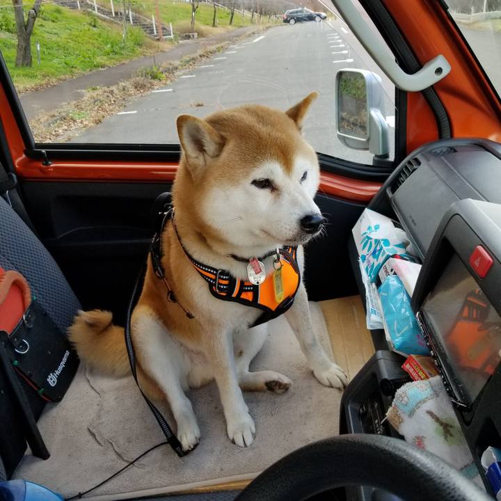 00c7d661 517c 4697 9744 b7845ea4cee1 1605939131041