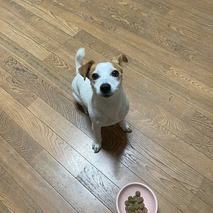 00c7f70e 6e07 4b52 a883 f8090d007d73 1619087657524