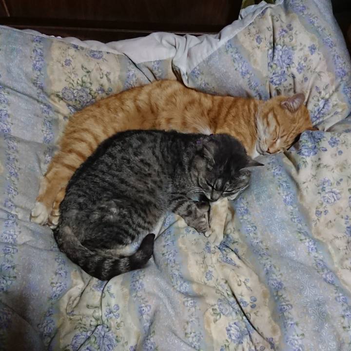 00c82933 ed33 47ca 871f 775aa857e4b5 1583587040008