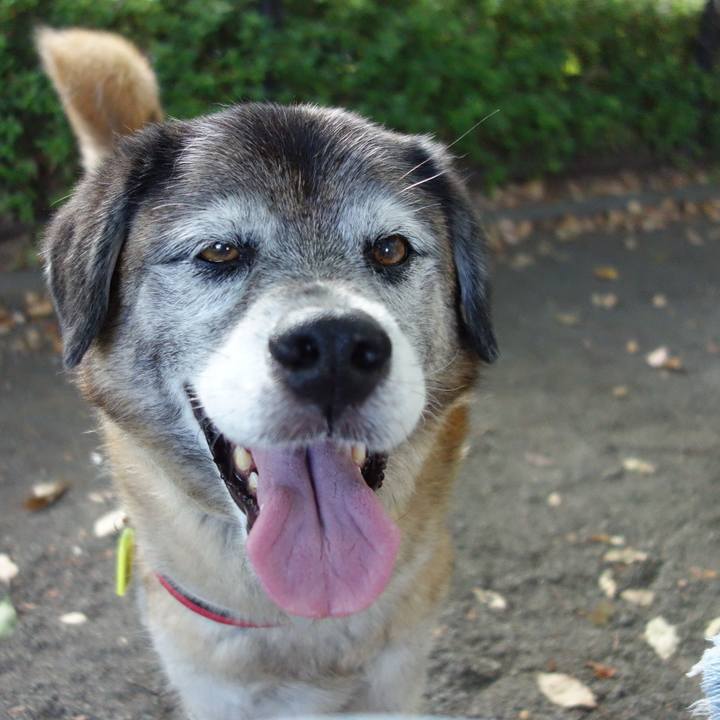 00c87c2c da9a 49c8 89ed 783cecb79573 1565652222195