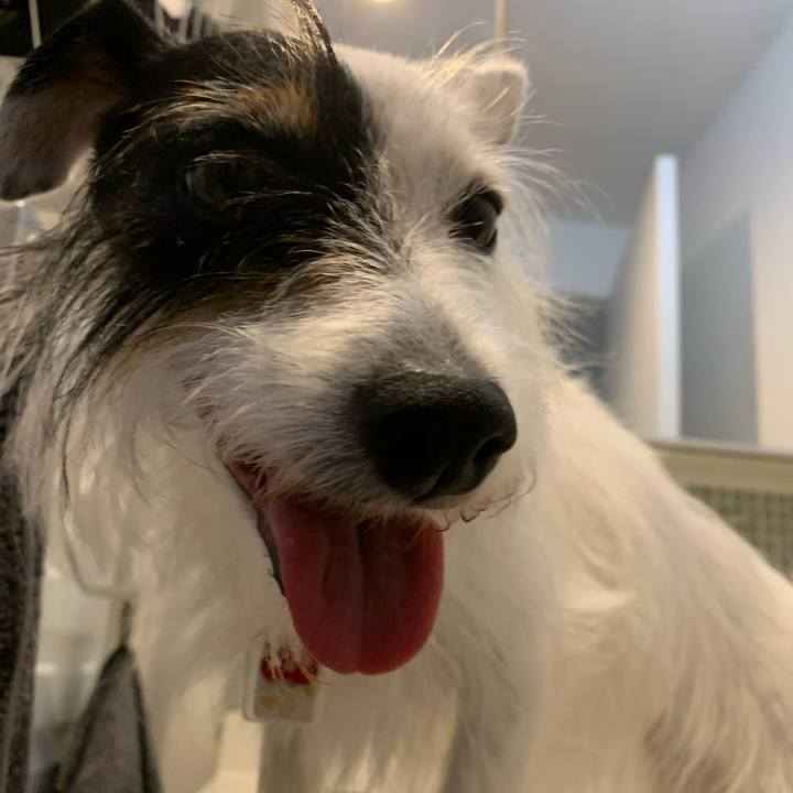 00c88969 5497 487b 8591 83cdf56b94fc 1692571263400