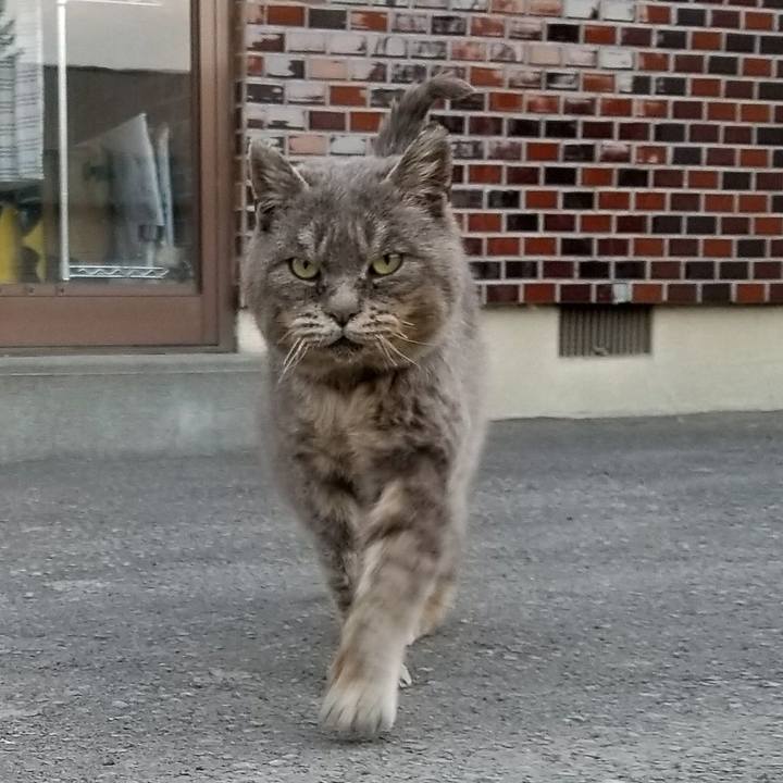 00c8afb3 af9a 475f 8457 2dfd1c8146e2 1522676328942