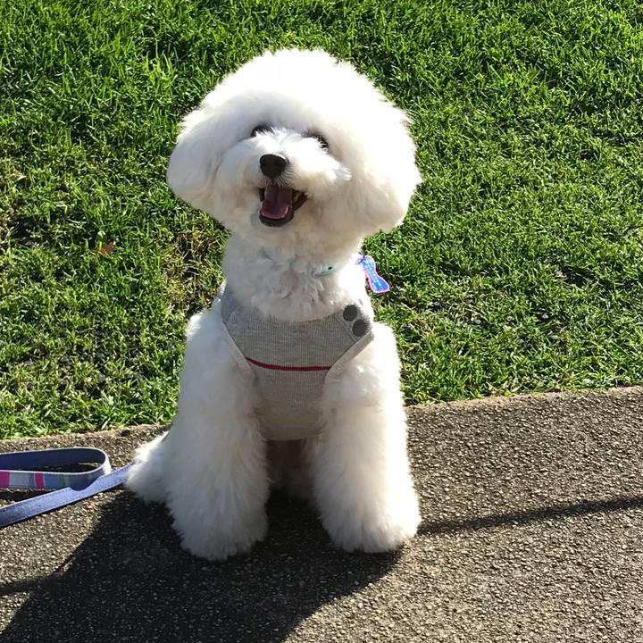 00c8b340 b32b 4e0e 87ba f68ed1eb5b92 1542956054008