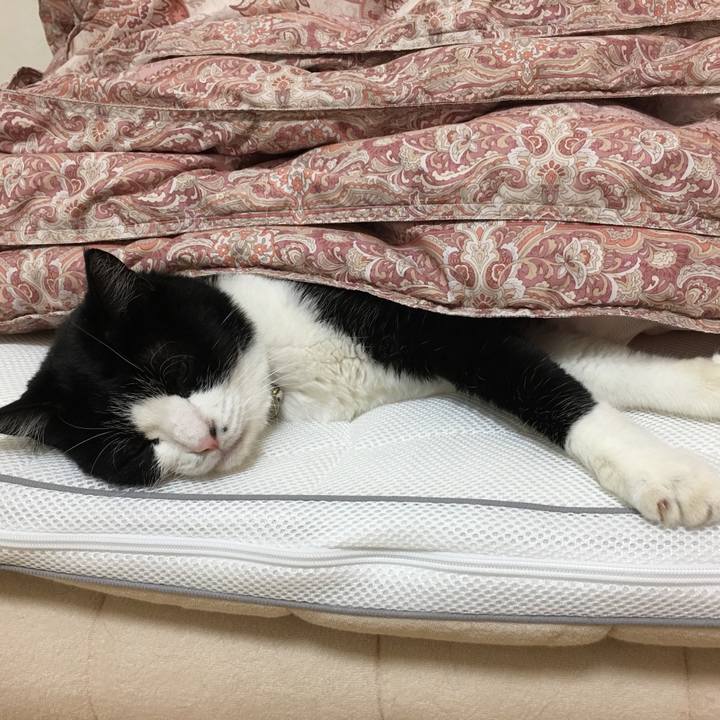 00c91b0b dc37 4683 8348 568793cce20a 1533633805409