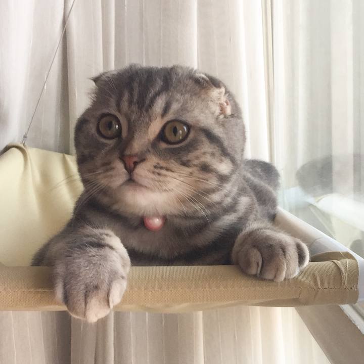 00c93892 d4e1 41af 86ff 49543a790273 1590928885915