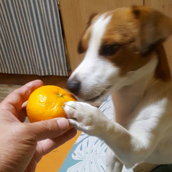 00c94044 1bf6 437c bc89 be5bb766984d 1580809225210