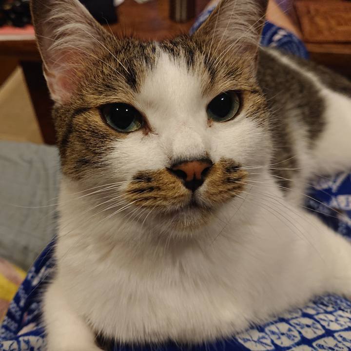 00c94c72 75b3 42dc bff0 f44c68315486 1662940670768