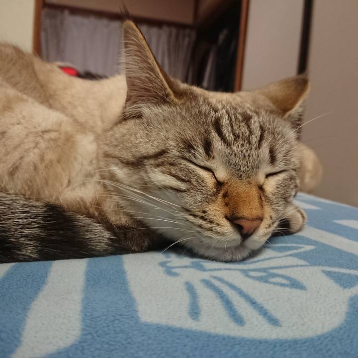 00c96352 0194 4909 9f01 ebdf85f88a92 1546654762664