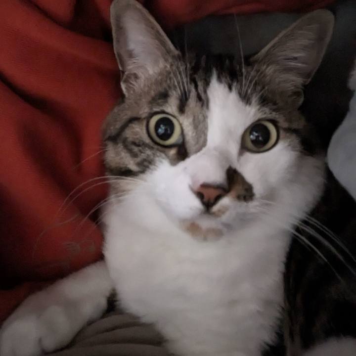 00c96f76 8a7f 4ae6 996c 455618d05884 1708764751070