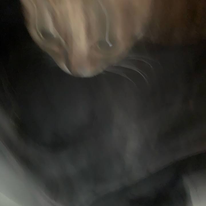 00c9aaaa a752 44df b287 60bf3dac615c 1649114600334