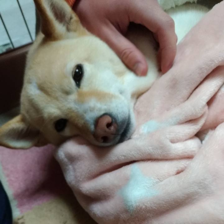 00c9acc2 1ace 4a7c aad9 face2d96be7c 1604578316302