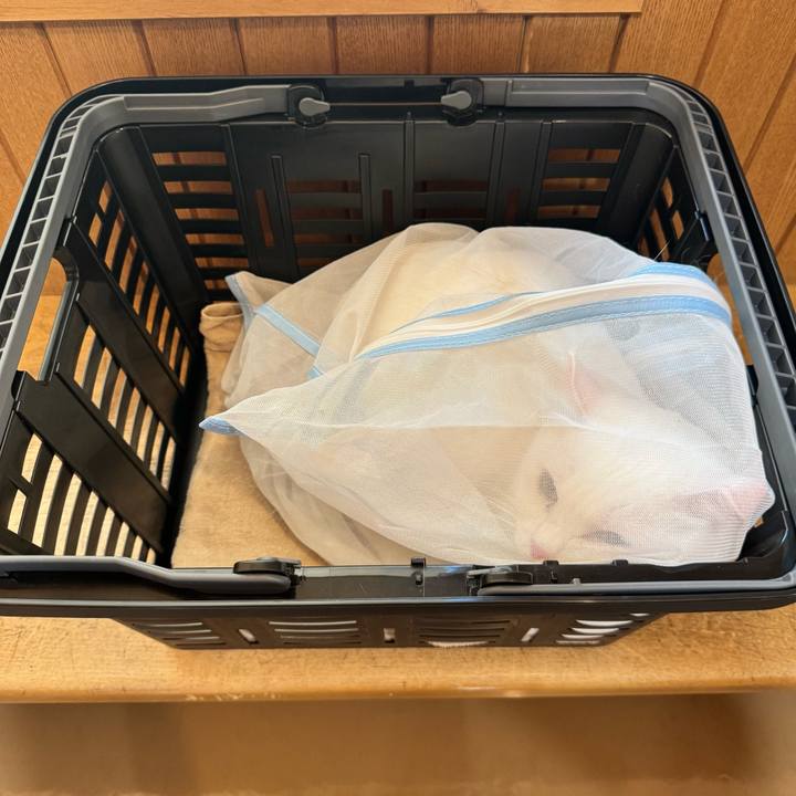 00c9b511 1911 4ee1 9f89 bf7e6463d2d9 1753353115156