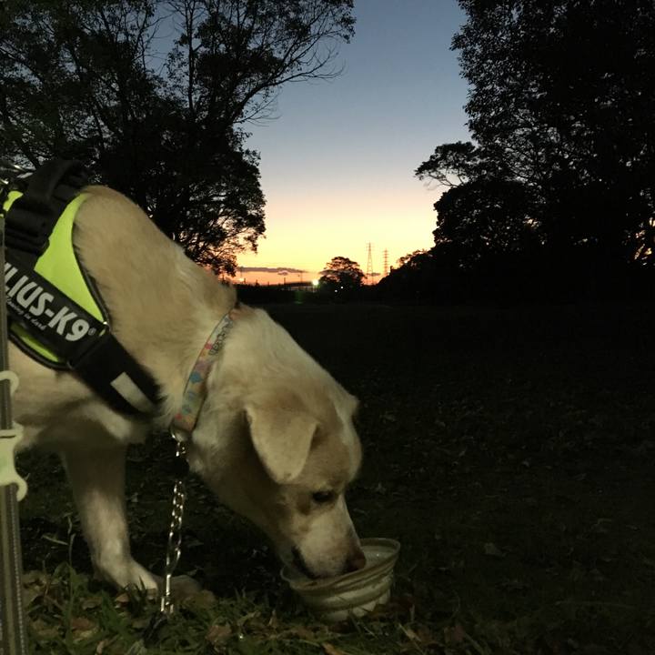 00c9bed1 1484 44ee 9a01 d5a2ad321c01 1540716490073