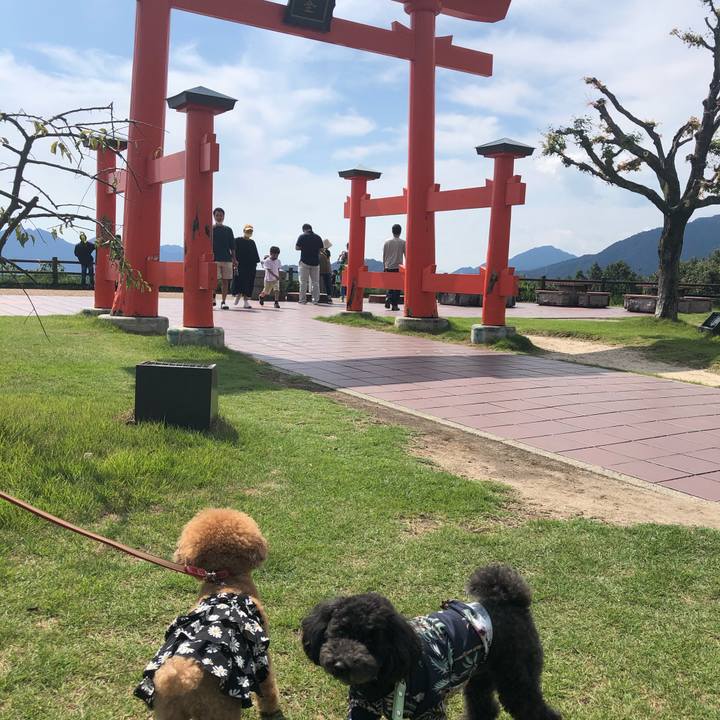 00c9d611 221f 4491 a271 73519f98ee96 1600569738521