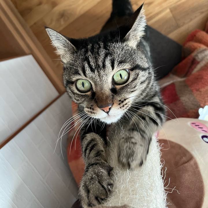 00c9eb7f e667 44fd b687 237b97850497 1772509890555