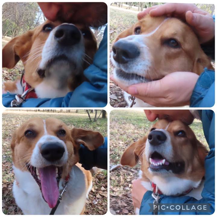 00c9fa1c 4d16 4dc7 81ee 9366001bff2b 1676337677157