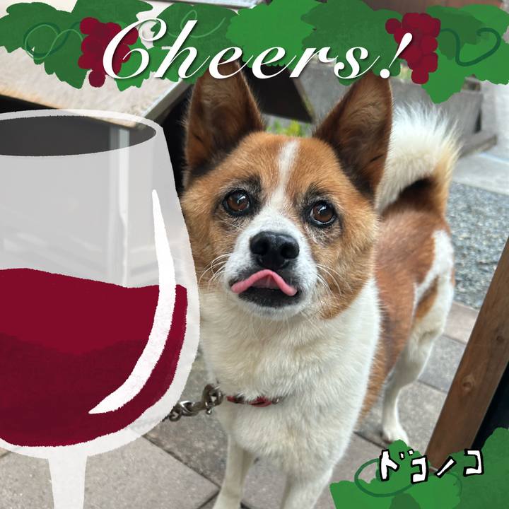 00ca0003 22fe 47fc 80f3 aa397190949f 1762460482232