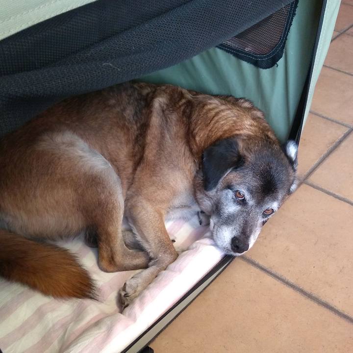 00ca183a c4b2 4a77 a985 67e0356d9451 1548051523262