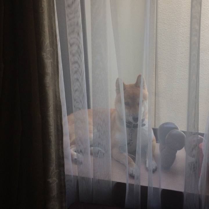 00ca23f8 fd0e 41de b326 4a28d72389e2 1535166404207