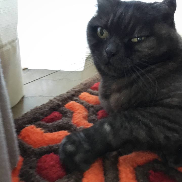 00ca3161 13ba 471b abc8 18d457189824 1586846373810