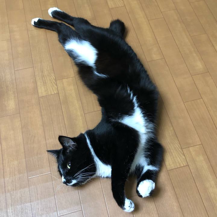 00ca3bdc 8ded 4309 bb95 bc0c13081007 1615347154964